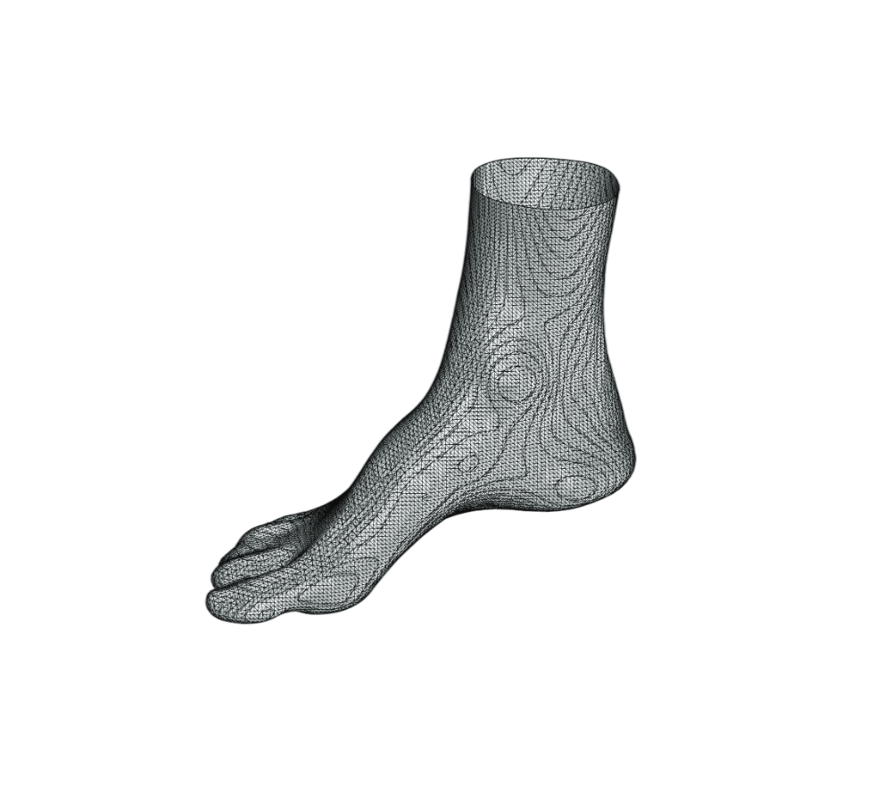 Digitale 3D-scan van de voet